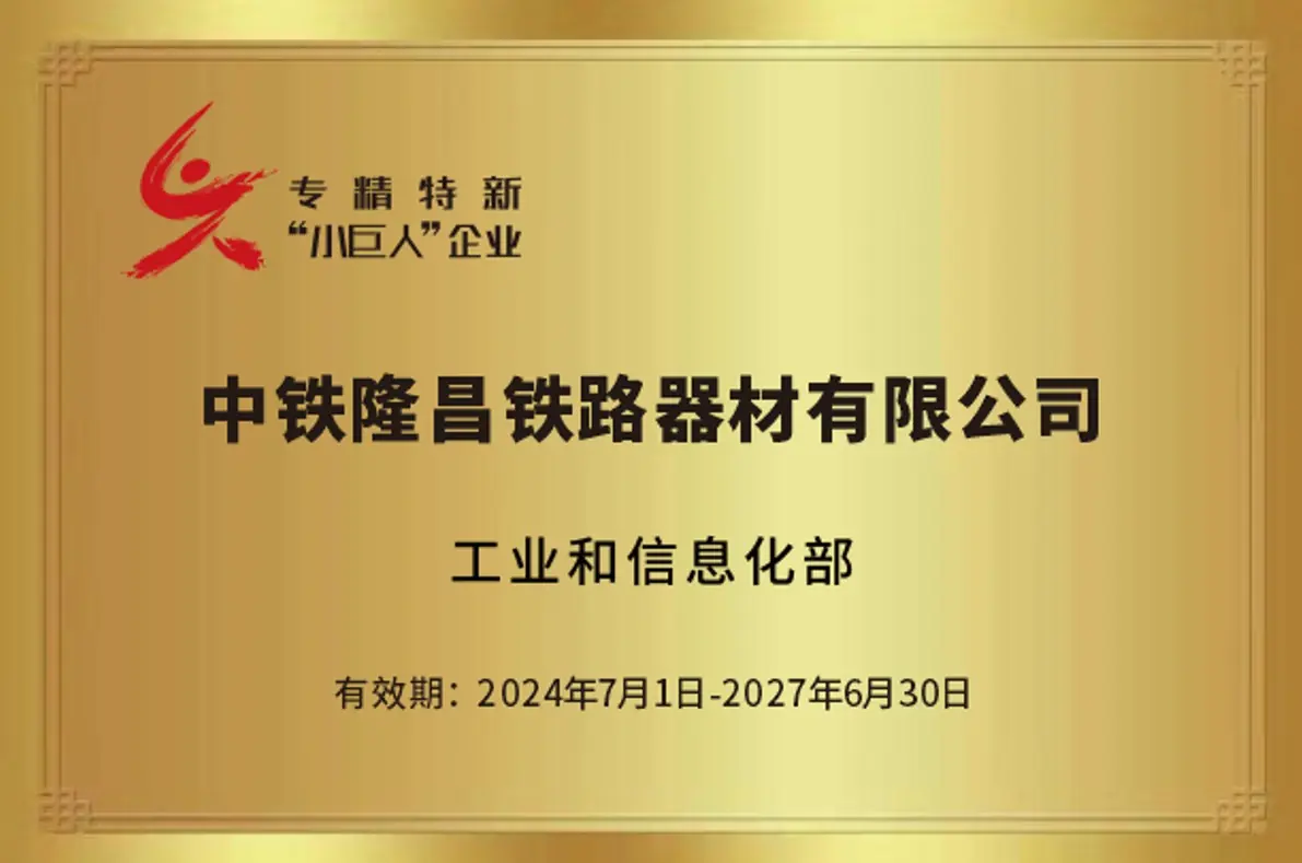 专精特新“小巨人”（2024）